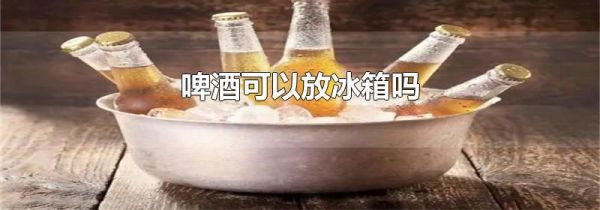 啤酒可以放冰箱吗