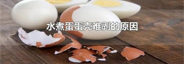 水煮蛋蛋壳难剥的原因