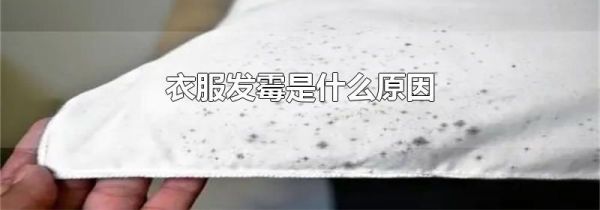 衣服发霉是什么原因