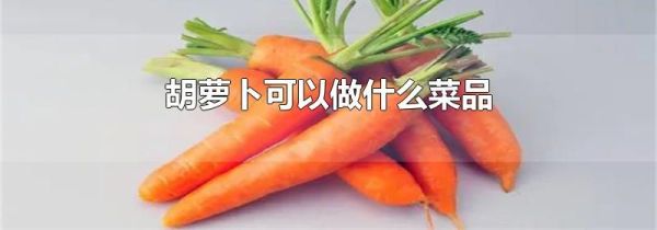 胡萝卜可以做什么菜品