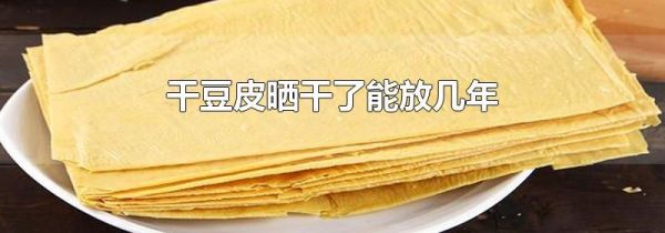 干豆皮晒干了能放几年