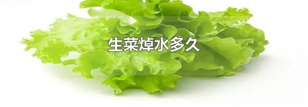 生菜焯水多久