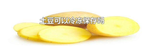 土豆可以冷冻保存吗