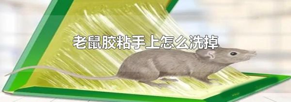 老鼠胶粘手上怎么洗掉