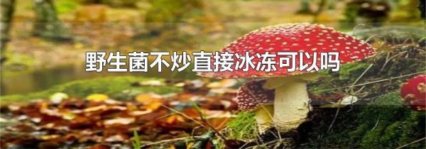 野生菌不炒直接冰冻可以吗