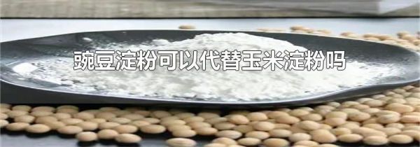 豌豆淀粉可以代替玉米淀粉吗