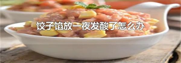 饺子馅放一夜发酸了怎么办