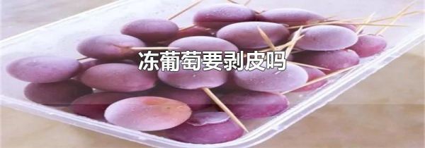 冻葡萄要剥皮吗