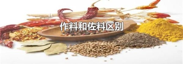 作料和佐料区别