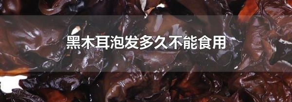 黑木耳泡发多久不能食用