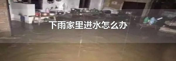 下雨家里进水怎么办