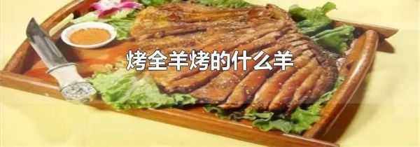烤全羊烤的什么羊