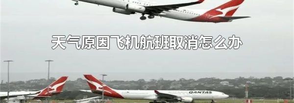 天气原因飞机航班取消怎么办