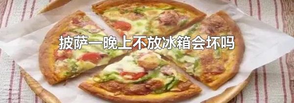 披萨一晚上不放冰箱会坏吗