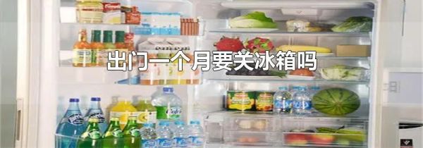 出门一个月要关冰箱吗