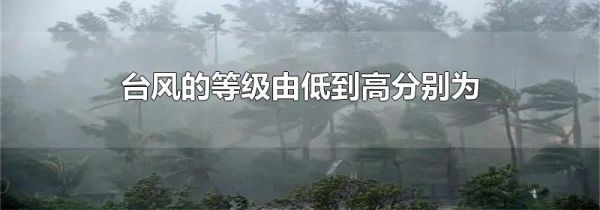 台风的等级由低到高分别为