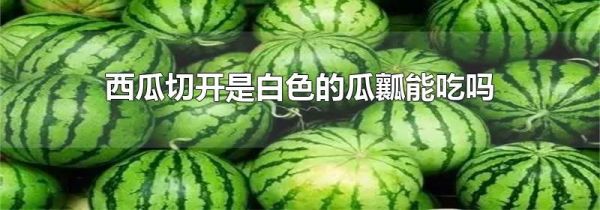 西瓜切开是白色的瓜瓤能吃吗