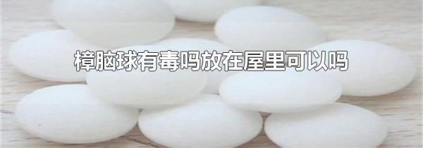 樟脑球有毒吗放在屋里可以吗