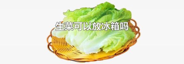 生菜可以放冰箱吗