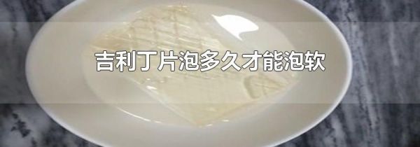 吉利丁片泡多久才能泡软