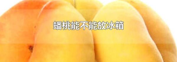 蟠桃能不能放冰箱