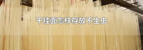 干挂面怎样存放不生虫