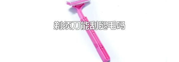 剃须刀能刮腿毛吗