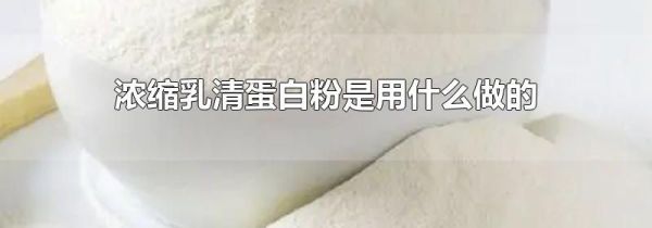 浓缩乳清蛋白粉是用什么做的