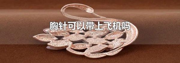 胸针可以带上飞机吗