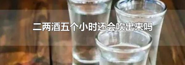 二两酒五个小时还会吹出来吗