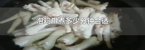 泡鸡爪煮多少分钟合适