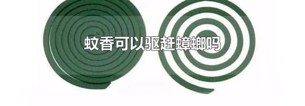 蚊香可以驱赶蟑螂吗