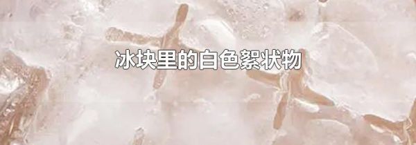 冰块里的白色絮状物