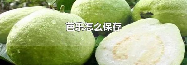 芭乐怎么保存