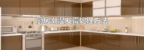 厨房潮湿发霉处理方法