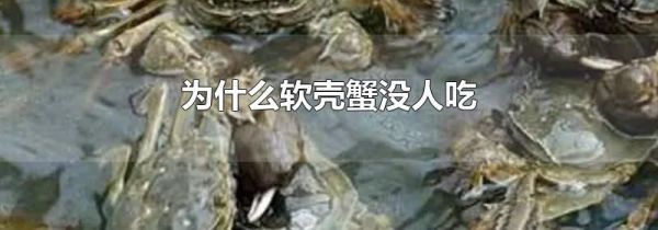 为什么软壳蟹没人吃