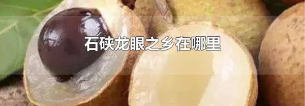 石硖龙眼之乡在哪里