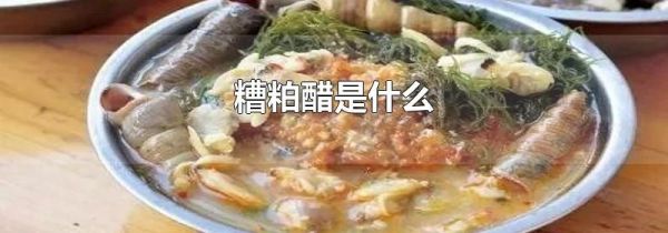 糟粕醋是什么