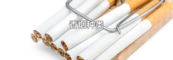 香烟种类