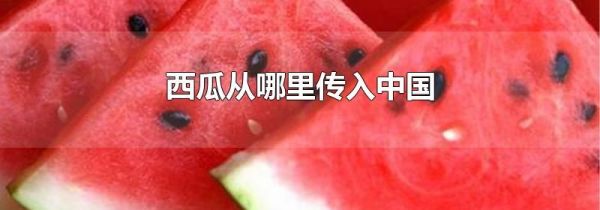 西瓜从哪里传入中国