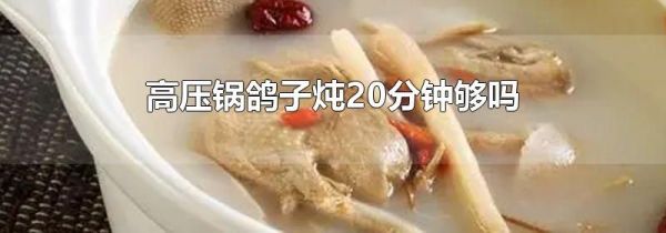 高压锅鸽子炖20分钟够吗