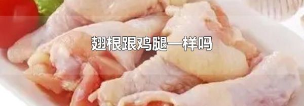 翅根跟鸡腿一样吗