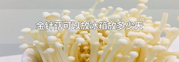 金针菇可以放冰箱放多少天