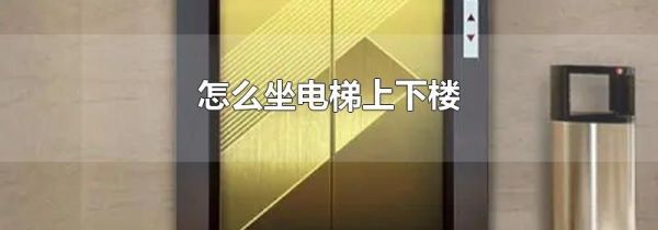 怎么坐电梯上下楼