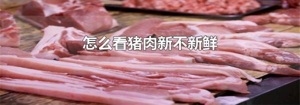 怎么看猪肉新不新鲜
