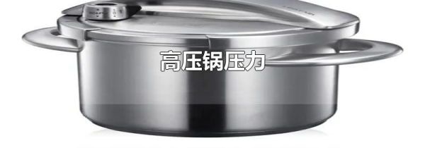高压锅压力