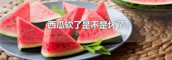 西瓜软了是不是坏了