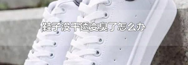 鞋子没干透变臭了怎么办
