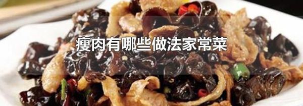 瘦肉有哪些做法家常菜