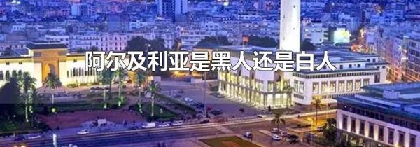 阿尔及利亚是黑人还是白人